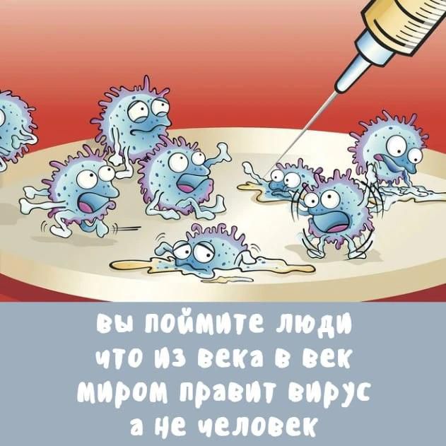 вы поймите люди что из века в век миром правит вирус а не человек