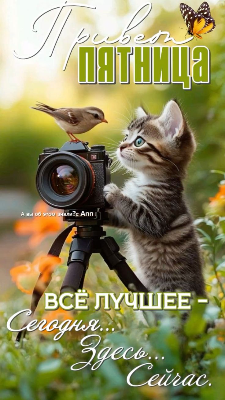 Привет ПЯТНИЦА А вы об этом знали?с Ann ВСЁ ЛУЧШЕЕ - Сегодня... Здесь... Сейчас.