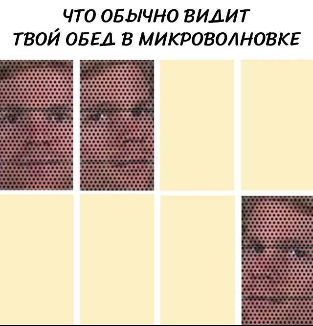 ЧТО ОБЫЧНО ВИДИТ ТВОЙ ОБЕД В МИКРОВОЛНОВКЕ