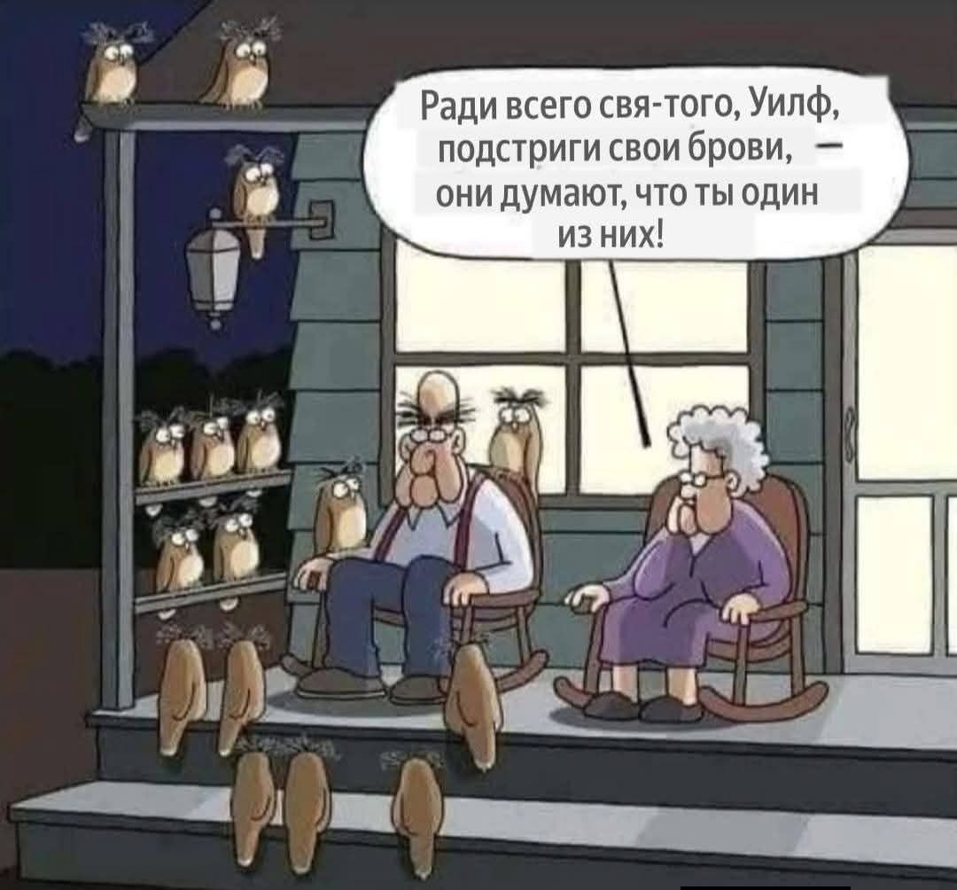 Ради всего святого, Уилф, подстриги свои брови, – они думают, что ты один из них!