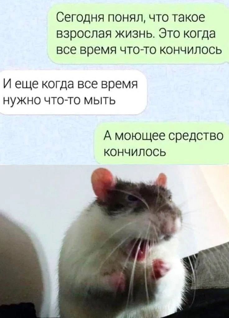 Сегодня понял, что такое взрослая жизнь. Это когда все время что-то кончилось И еще когда все время нужно что-то мыть А моющее средство кончилось