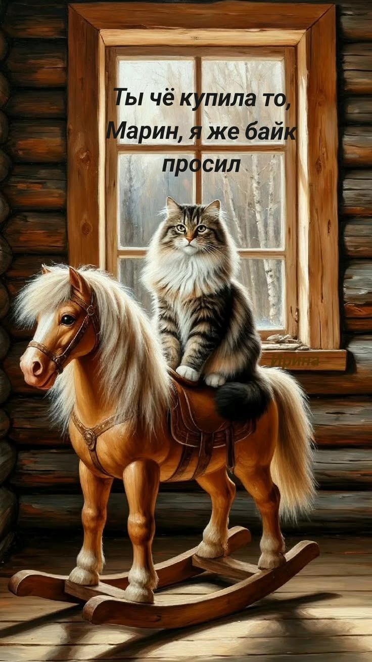 Ты чё купила то, Марин, я же байк просил