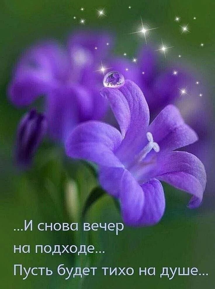 ...И снова вечер на подходе... Пусть будет тихо на душе...
