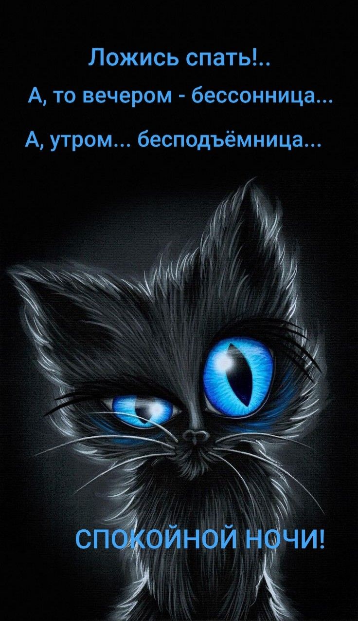 Ложись спать!.. А, то вечером - бессонница... А, утром... бесподъемница... спокойной ночи!