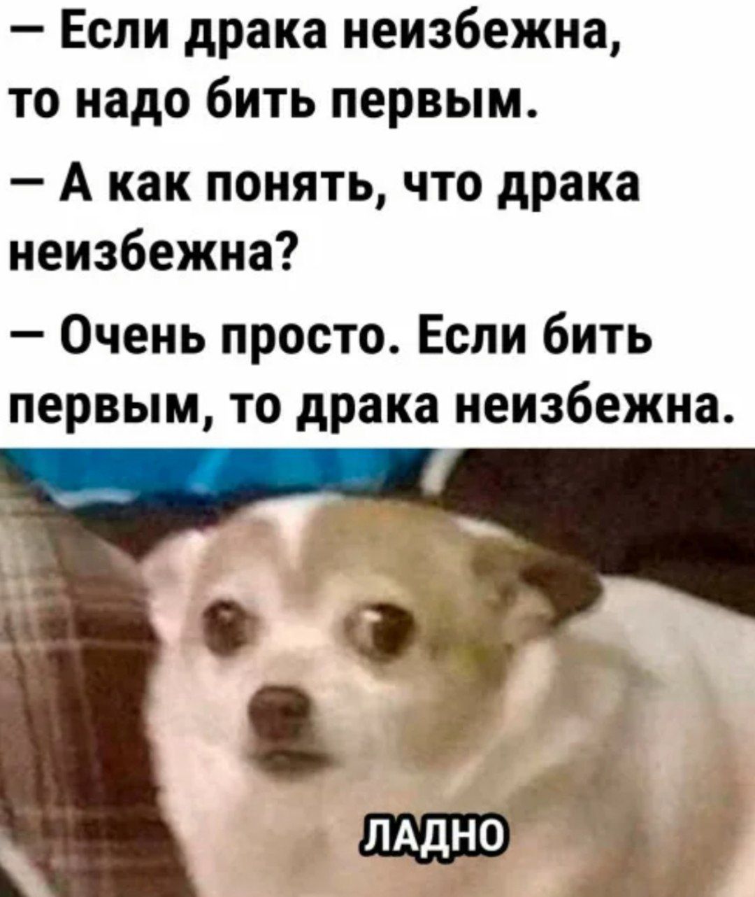 — Если драка неизбежна, то надо бить первым. — А как понять, что драка неизбежна? — Очень просто. Если бить первым, то драка неизбежна. Ладно