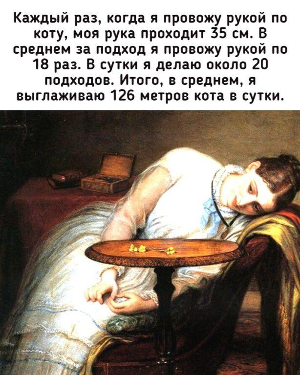 Каждый раз, когда я провожу рукой по коту, моя рука проходит 35 см. В среднем за подход я провожу рукой по 18 раз. В сутки я делаю около 20 подходов. Итого, в среднем, я выглаживаю 126 метров кота в сутки.