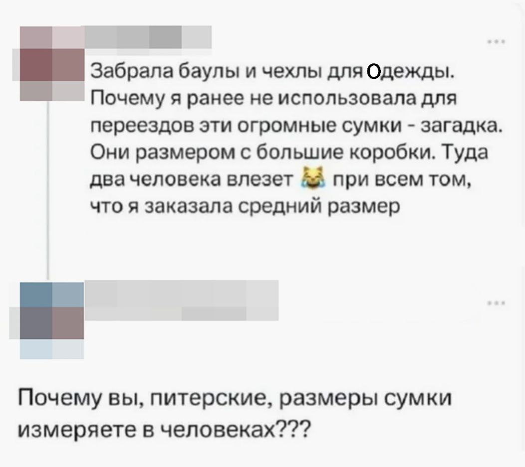 Забрала баулы и чехлы для Одежды. Почему я ранее не использовала для переездов эти огромные сумки - загадка. Они размером с большие коробки. Туда два человека влезет при всём том, что я заказала средний размер. Почему вы, питерские, размеры сумки измеряете в человеках???