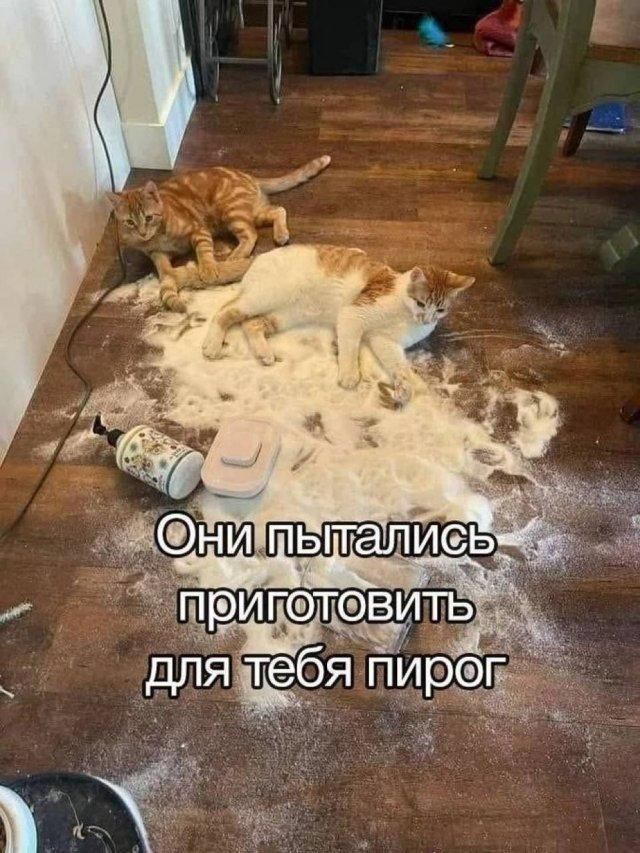 Они пытались приготовить для тебя пирог