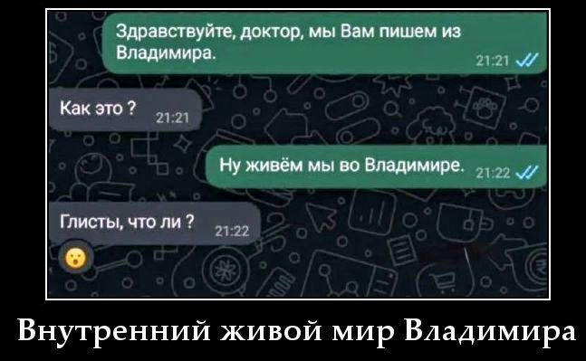 Здравствуйте, доктор, мы Вам пишем из Владимира.
Как это?
Ну живём мы во Владимире.
Глисты, что ли?
Внутренний живой мир Владимира