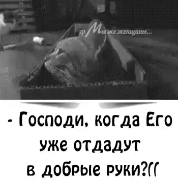 гр. Мы же женщины... - Господи, когда Его уже отдадут в добрые руки?(((