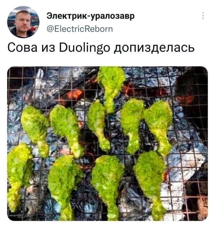 Электрик-уралозавр @ElectricReborn Сова из Duolingo допизде́лась