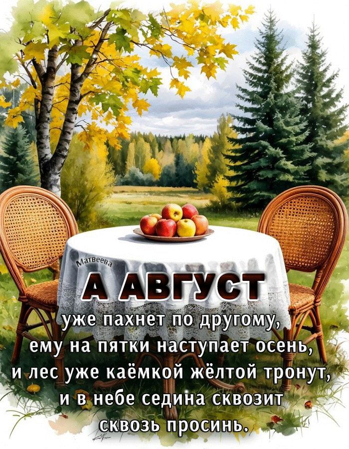 Матвеева
А АВГУСТ
уже пахнет по другому,
ему на пятки наступает осень,
и лес уже каёмкой жёлтой тронут,
и в небе седина сквозит
сквозь просинь.