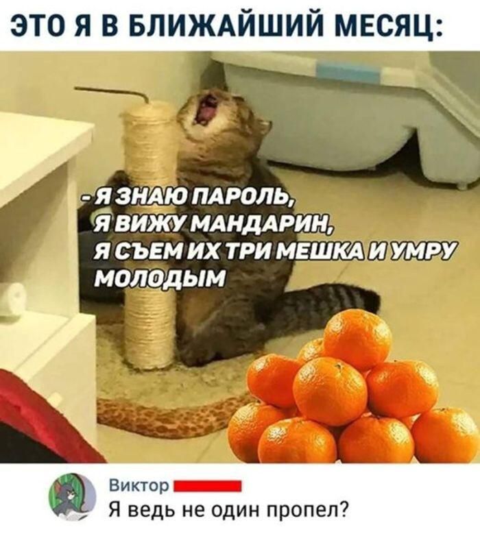 ЭТО Я В БЛИЖАЙШИЙ МЕСЯЦ: - Я ЗНАЮ ПАРОЛЬ, Я ВИЖУ МАНДАРИН, Я СЪЕМ ИХ ТРИ МЕШКА И УМРУ МОЛОДЫМ. Виктор: Я ведь не один пропел?