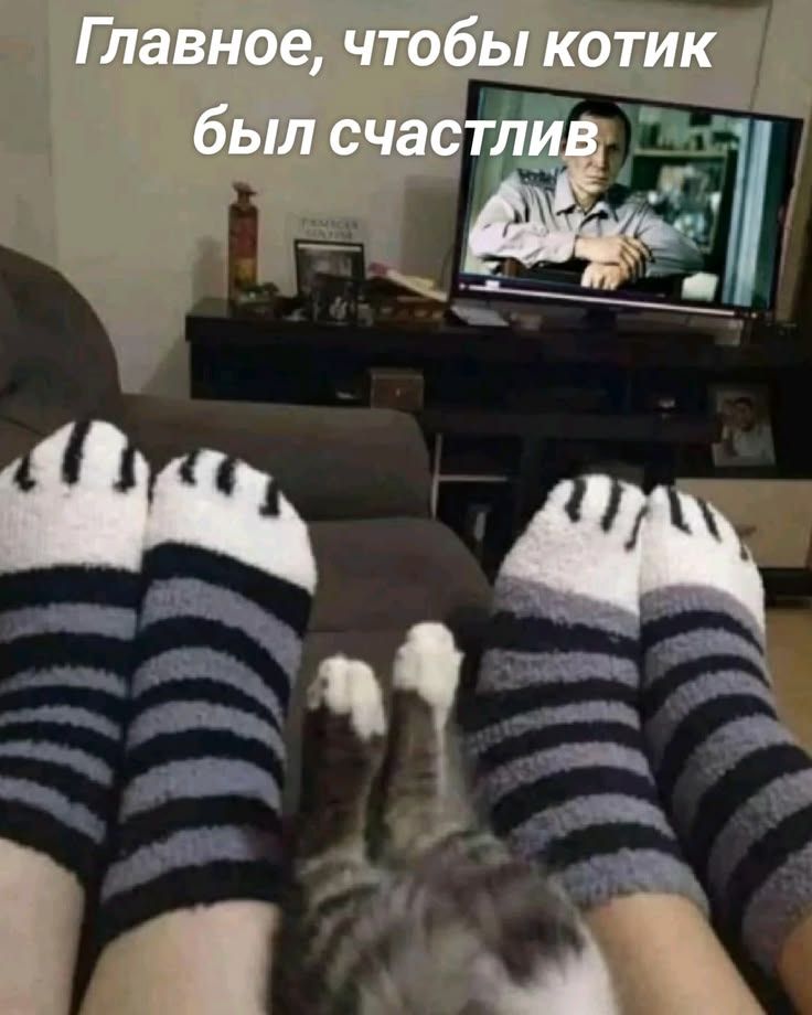 Главное, чтобы котик был счастлив