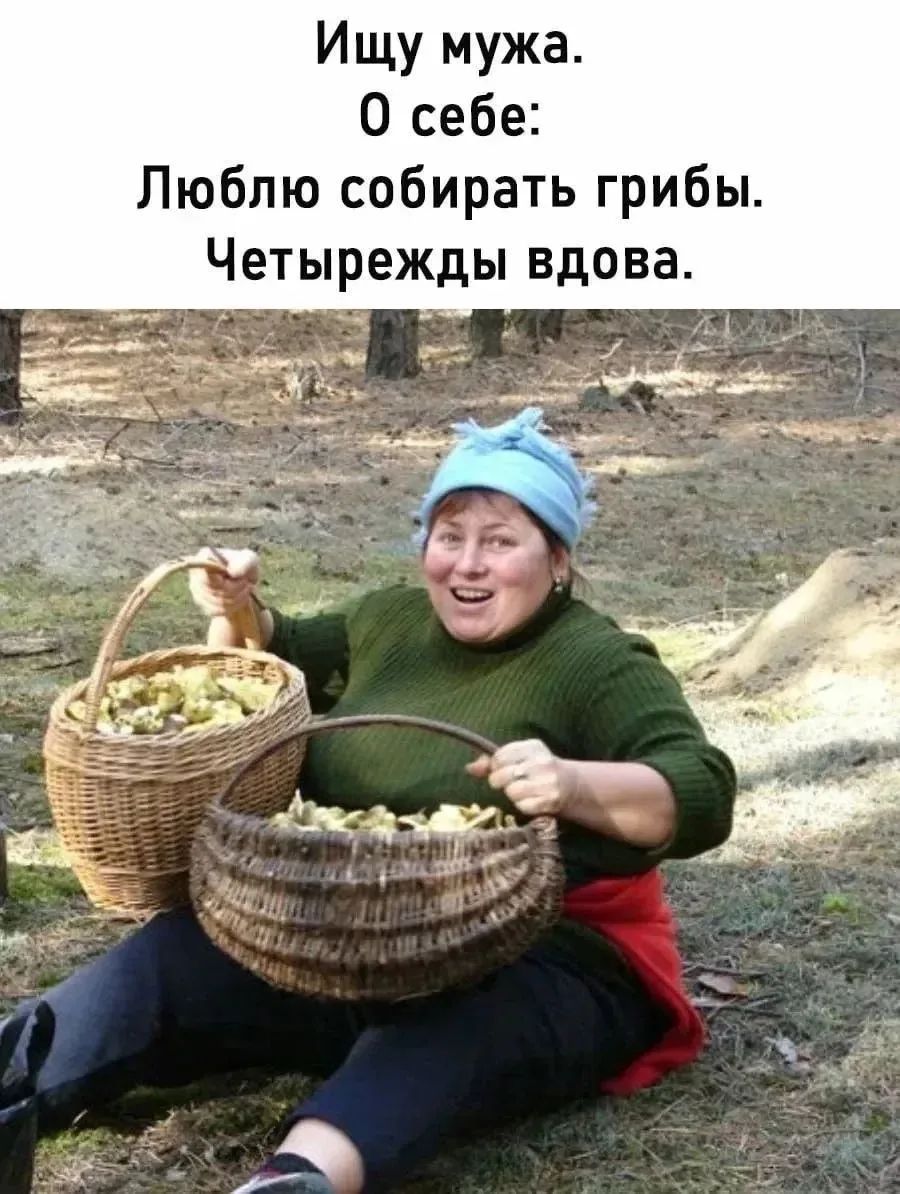 Ищу мужа. О себе: Люблю собирать грибы. Четырежды вдова.