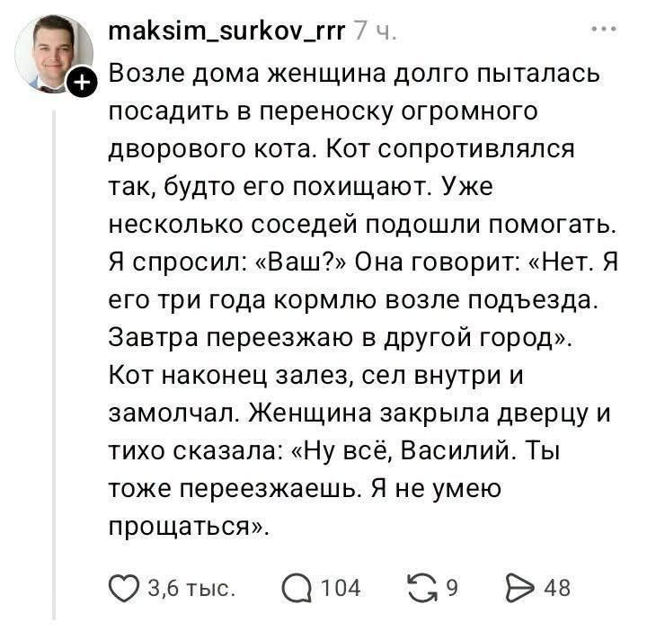 maksim_surkov_rrr 7 ч. Возле дома женщина долго пыталась посадить в переноску огромного дворового кота. Кот сопротивлялся так, будто его похищают. Уже несколько соседей подошли помогать. Я спросил: «Ваш?» Она говорит: «Нет. Я его три года кормлю возле подъезда. Завтра переезжаю в другой город». Кот наконец залез, сел внутри и замолчал. Женщина
