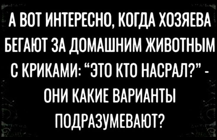 А ВОТ ИНТЕРЕСНО, КОГДА ХОЗЯЕВА БЕГАЮТ ЗА ДОМАШНИМ ЖИВОТНЫМ С КРИКАМИ: 