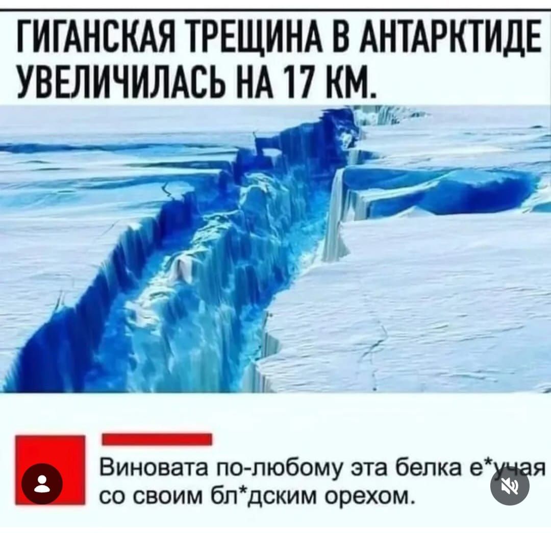 ГИГАНТСКАЯ ТРЕЩИНА В АНТАРКТИДЕ УВЕЛИЧИЛАСЬ НА 17 КМ. Виновата по-любому эта белка е*учая со своим бл*дским орехом.