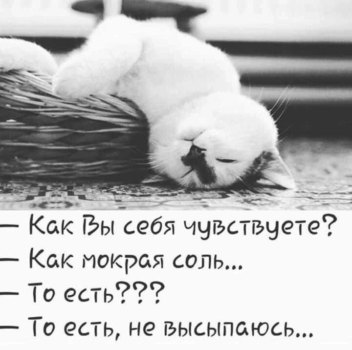 — Как Вы себя чувствуете?
— Как мокрая соль...
— То есть???
— То есть, не высыпаюсь...