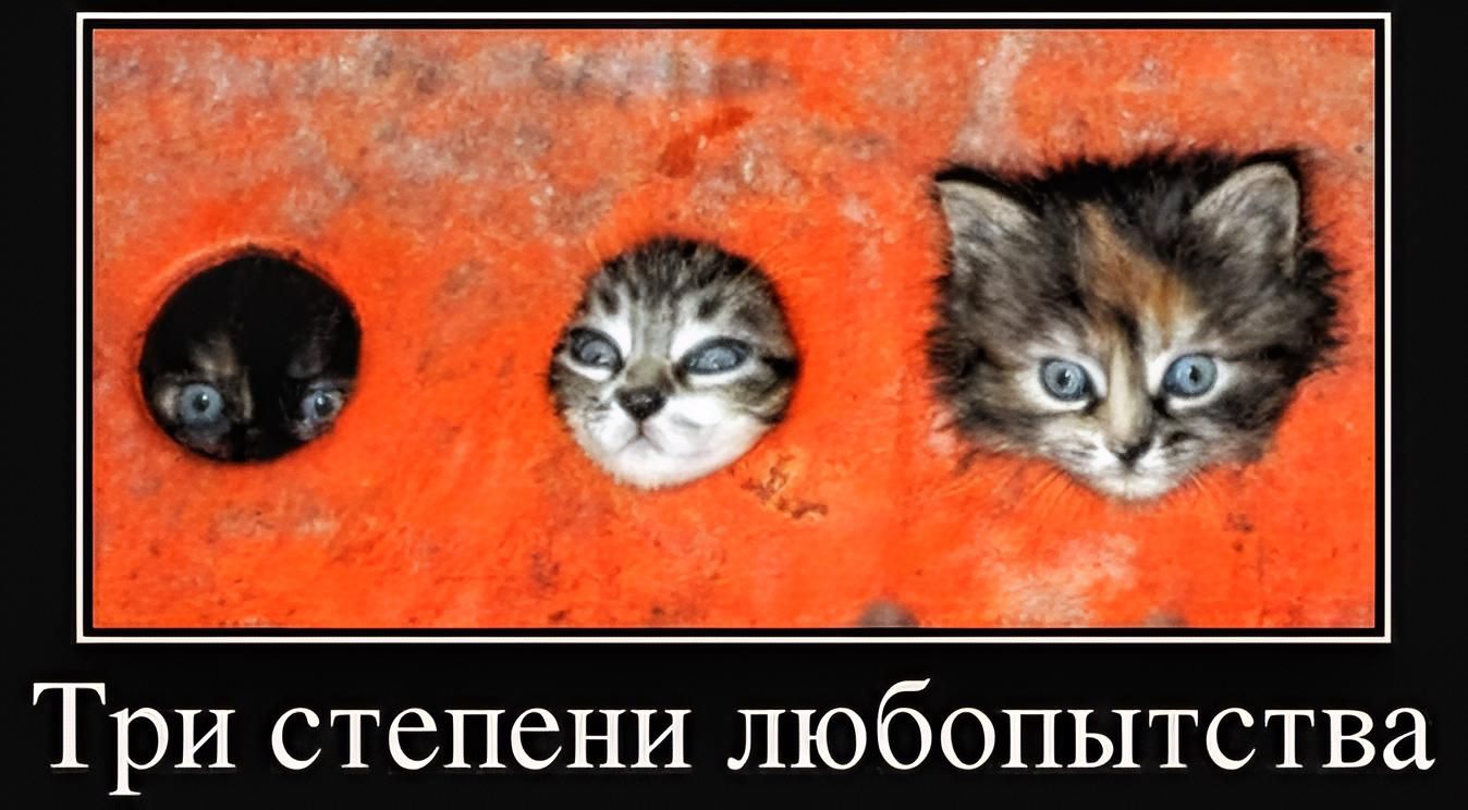 Три степени любопытства