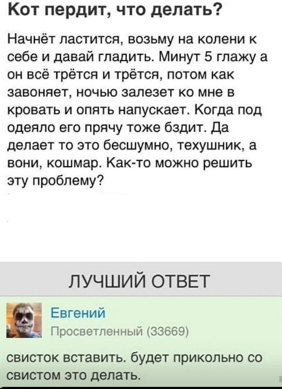 Кот пердит, что делать? Начнёт ластится, возьму на колени к себе и давай гладить. Минут 5 глажу а он всё трётся и трётся, потом как завоняет, ночью залезет ко мне в кровать и опять напускает. Когда под одеяло его прячу тоже бздит. Да делает то это бесшумно, техушник, а вони, кошмар. Как-то можно решить эту проблему? ЛУЧШИЙ ОТВЕТ Евгений
