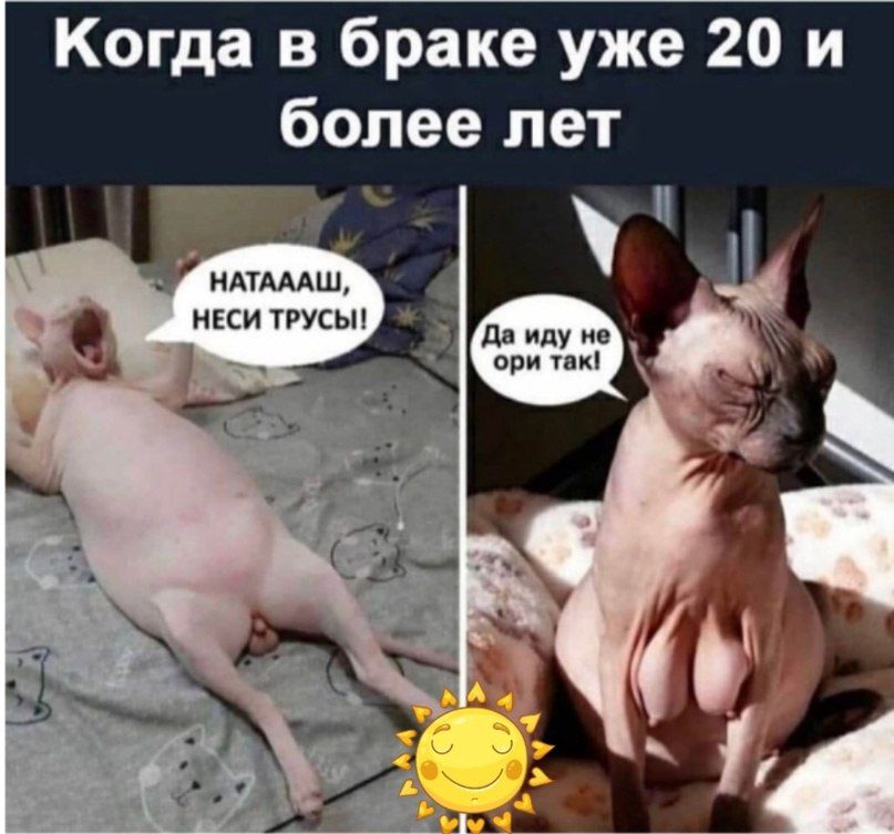 Когда в браке уже 20 и более лет. НАТАААШ, НЕСИ ТРУСЫ! Да иду не ори так!