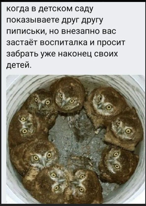 когда в детском саду показываете друг другу пиписьки, но внезапно вас застаёт воспиталка и просит забрать уже наконец своих детей.