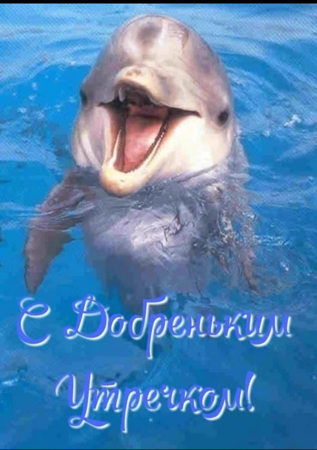 С Добреньким Утречком!