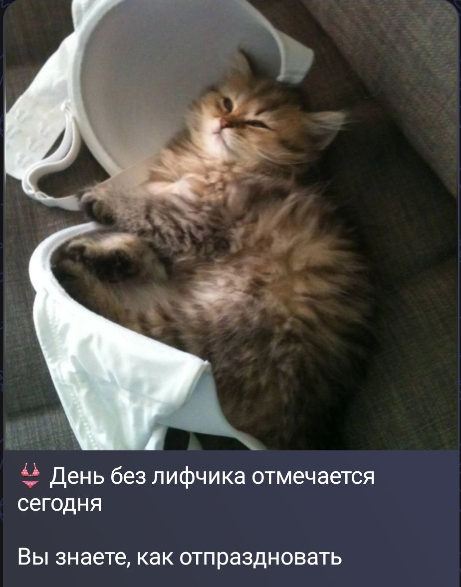 👙 День без лифчика отмечается сегодня Вы знаете, как отпраздновать