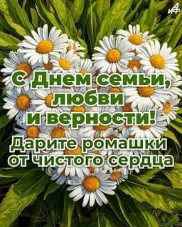С Днем семьи, любви и верности! Дарите ромашки от чистого сердца