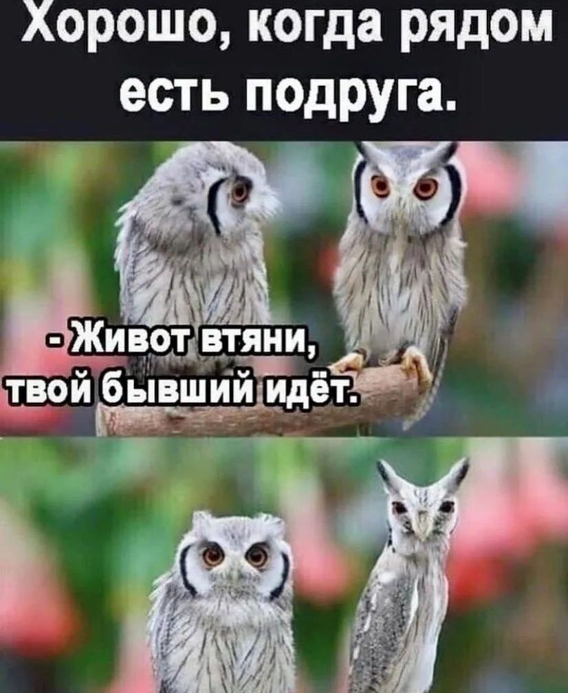 Хорошо, когда рядом есть подруга. -Живот втяни, твой бывший идёт.