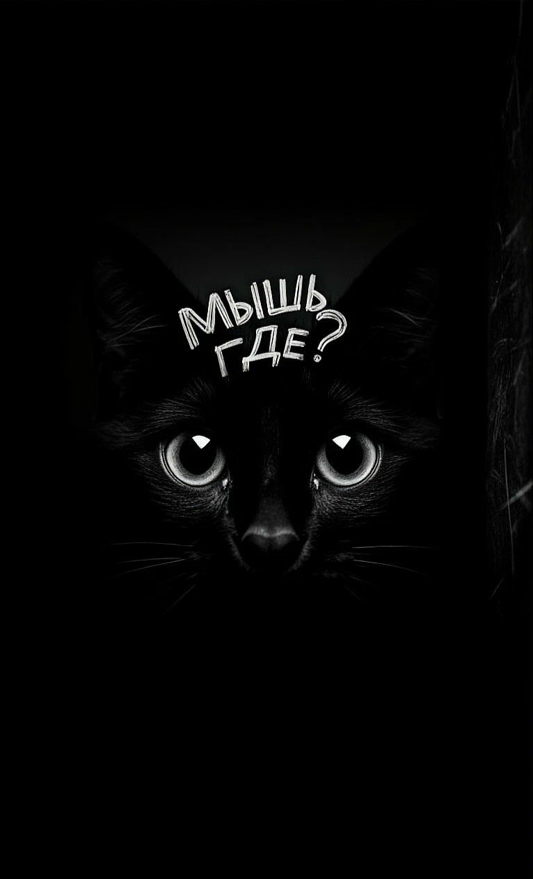 МЫШЬ, ГДЕ?