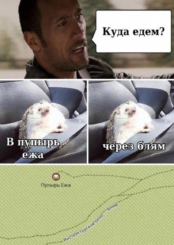 Куда едем? В пупырь ежа через блям. Пупырь Ежа. Инструкторское окно - Блям.
