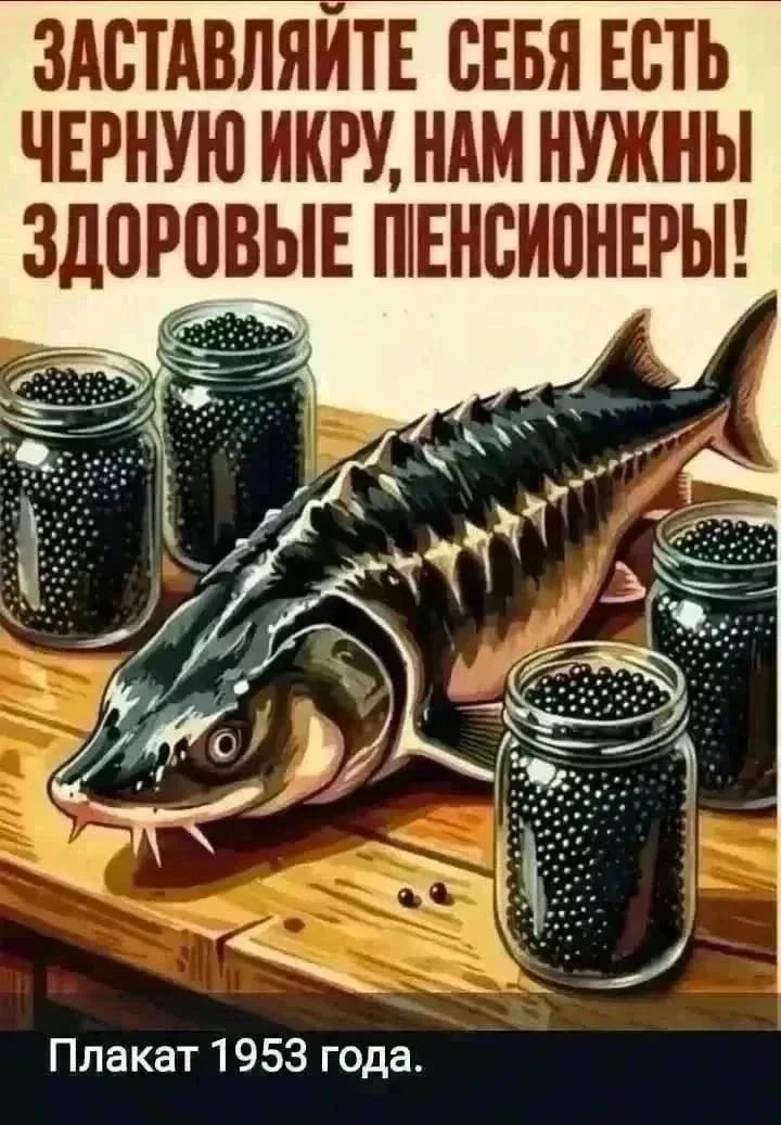 ЗАСТАВЛЯЙТЕ СЕБЯ ЕСТЬ ЧЕРНУЮ ИКРУ, НАМ НУЖНЫ ЗДОРОВЫЕ ПЕНСИОНЕРЫ! Плакат 1953 года.
