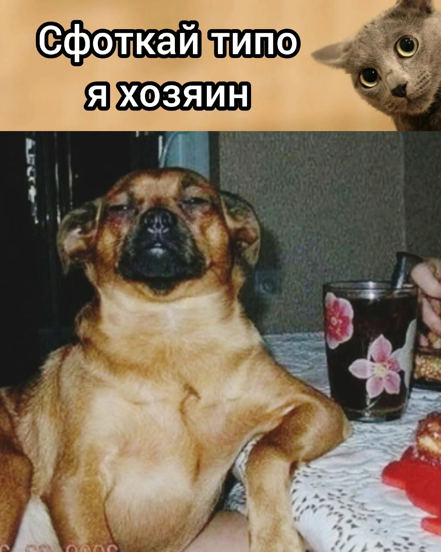 Сфоткай типо я хозяин