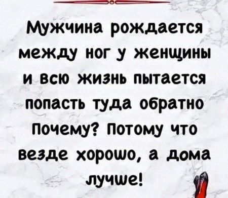 Мужчина рождается между ног у женщины и всю жизнь пытается попасть туда обратно Почему? Потому что везде хорошо, а дома лучше!