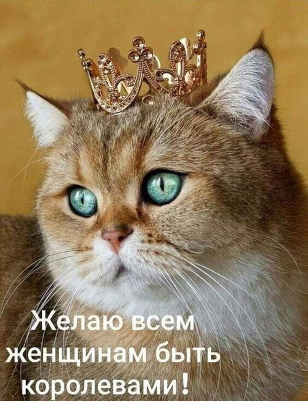 Желаю всем женщинам быть королевами!