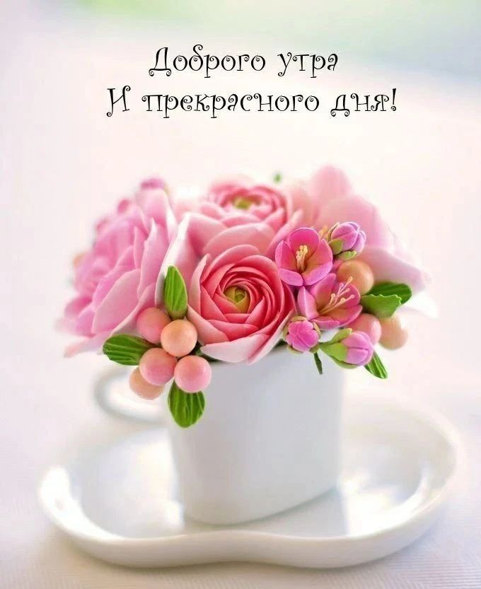 Доброго утра И прекрасного дня!