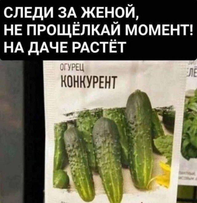 СЛЕДИ ЗА ЖЕНОЙ, НЕ ПРОЩЁЛКАЙ МОМЕНТ! НА ДАЧЕ РАСТЁТ ОГУРЕЦ КОНКУРЕНТ