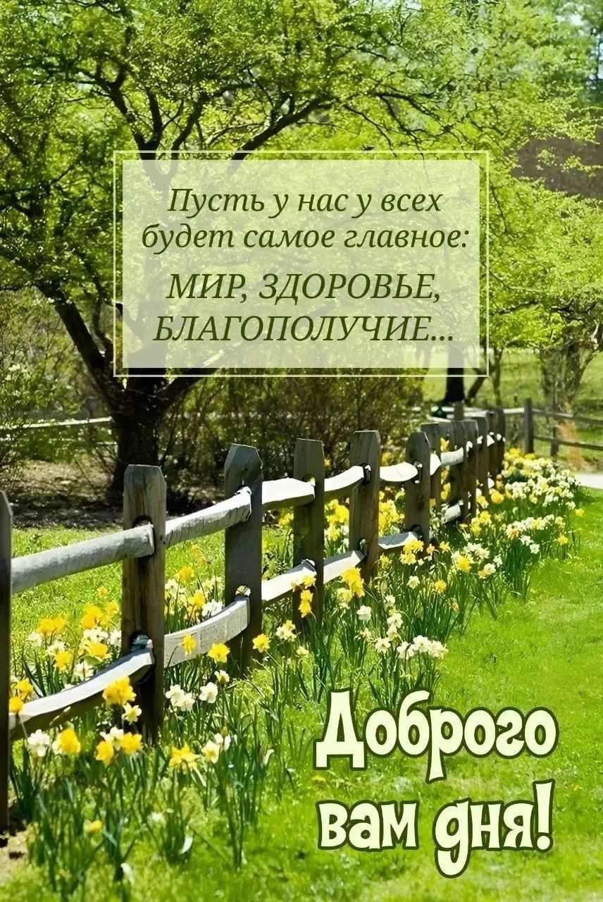Пусть у нас у всех будет самое главное: МИР, ЗДОРОВЬЕ, БЛАГОПОЛУЧИЕ... Доброго вам дня!