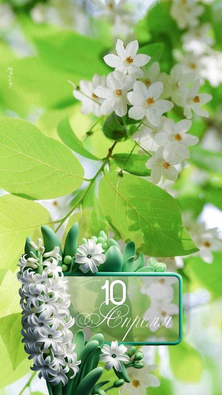 10 Апреля