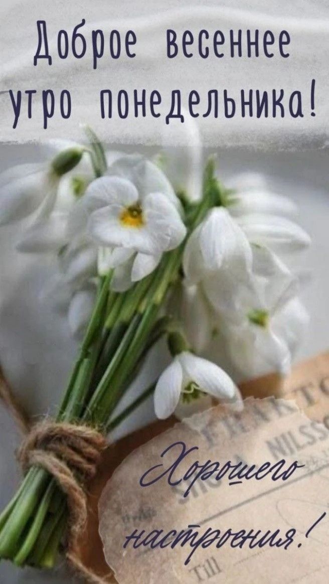 Доброе весеннее утро понедельника! Хорошего настроения!