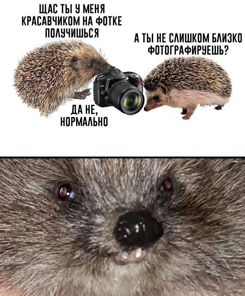 ЩАС ТЫ У МЕНЯ КРАСАВЧИКОМ НА ФОТКЕ ПОЛУЧИШЬСЯ А ТЫ НЕ СЛИШКОМ БЛИЗКО ФОТОГРАФИРУЕШЬ? ДА НЕ, НОРМАЛЬНО