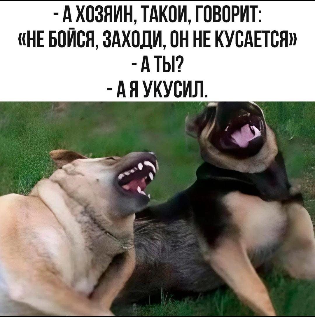 - А хозяин, такой, говорит: 