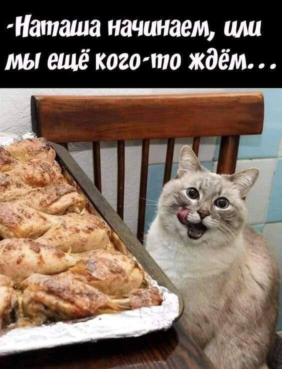-Наташа начинаем, или мы ещё кого-то ждём...
