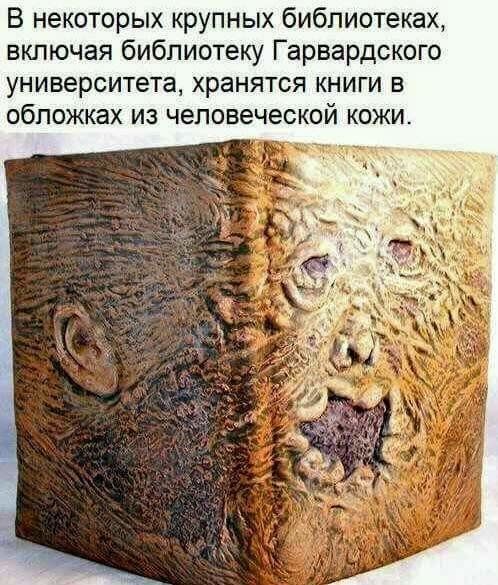 В некоторых крупных библиотеках, включая библиотеку Гарвардского университета, хранятся книги в обложках из человеческой кожи.