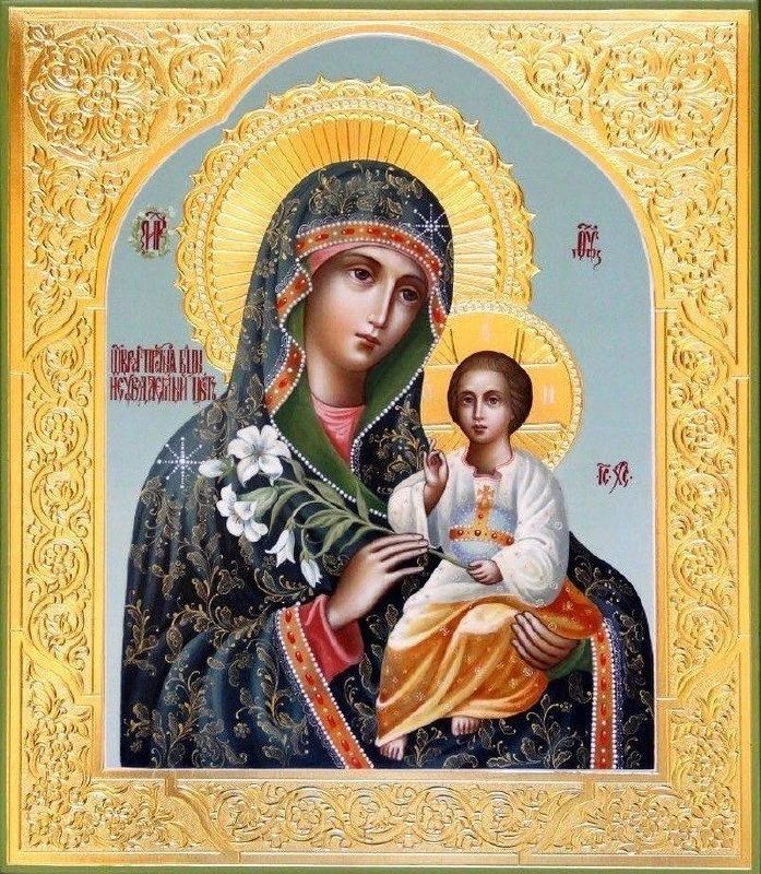 ПРЕСВЯТАЯ БОГОРОДИЦА НЕУВЯДАЕМЫЙ ЦВЕТ МР ΘΥ ІС ХС