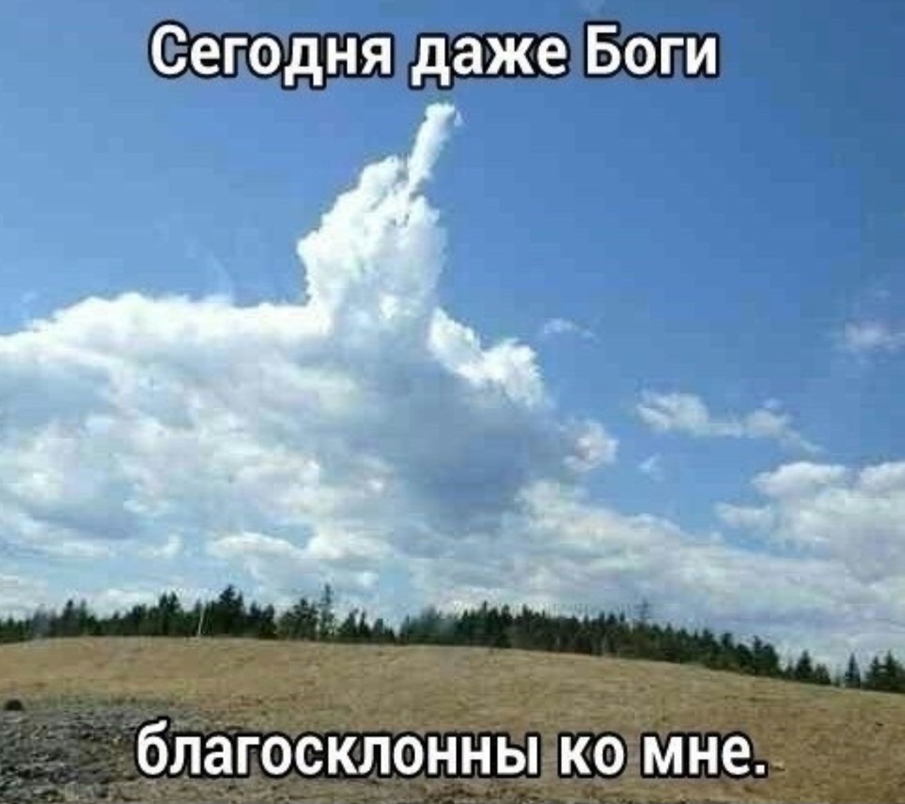 Сегодня даже Боги благосклонны ко мне.