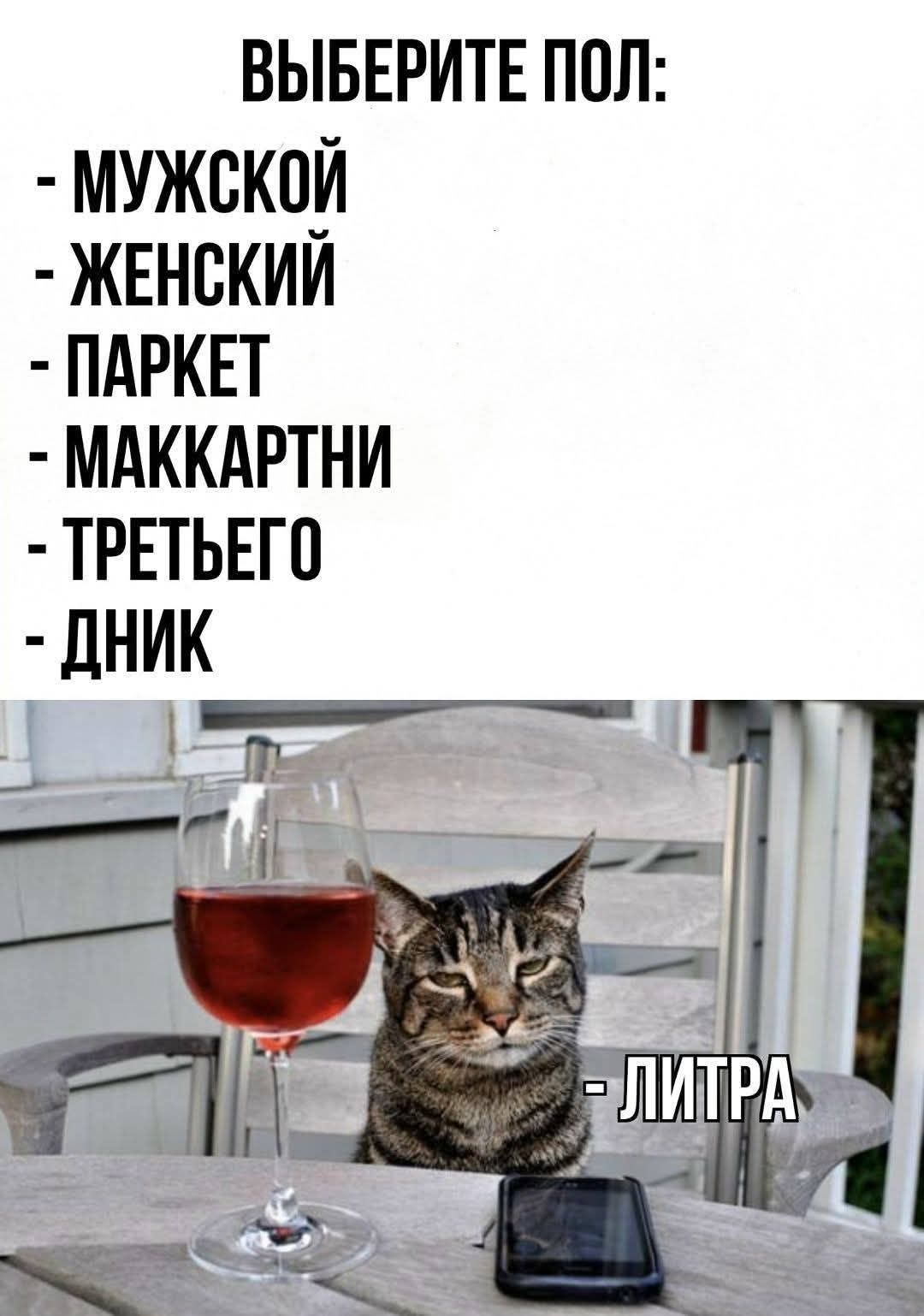 ВЫБЕРИТЕ ПОЛ: - МУЖСКОЙ - ЖЕНСКИЙ - ПАРКЕТ - МАККАРТНИ - ТРЕТЬЕГО - ДНИК - ЛИТРА