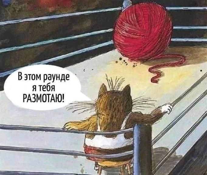 В этом раунде я тебя РАЗМОТАЮ!